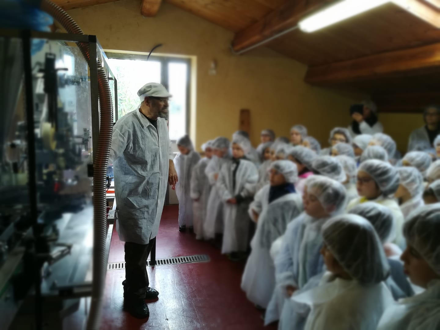 DETTORI ANGELO & C. SOCIETA' AGRICOLA — foto 4